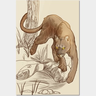 Wild Cougar Posters and Art